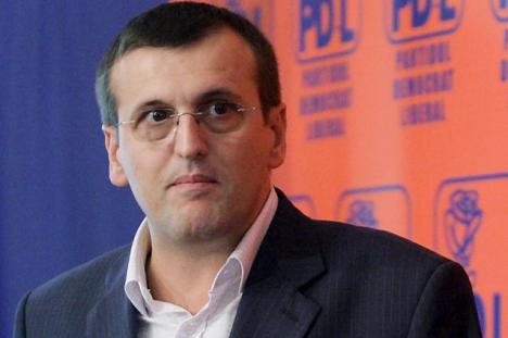 Primele demisii în PDL: Cristian Preda şi Sever Voinescu au renunţat la funcţiile din conducere